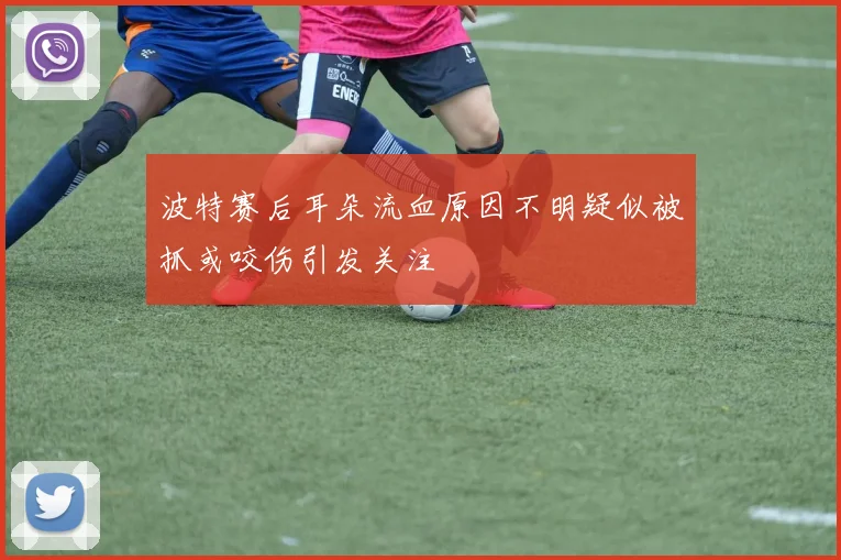 波特赛后耳朵流血原因不明疑似被抓或咬伤引发关注